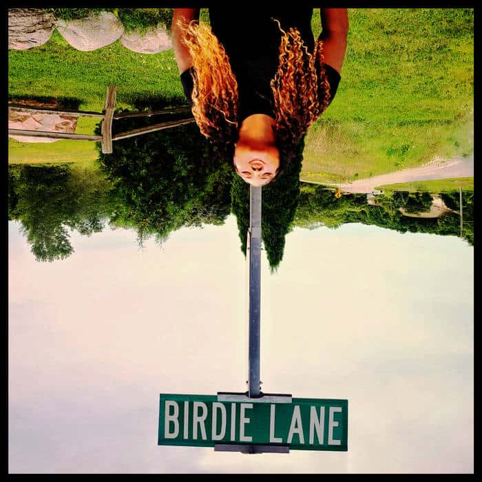 Metal Byrds - Birdie Lane